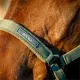 Horseware Amigo halsterset